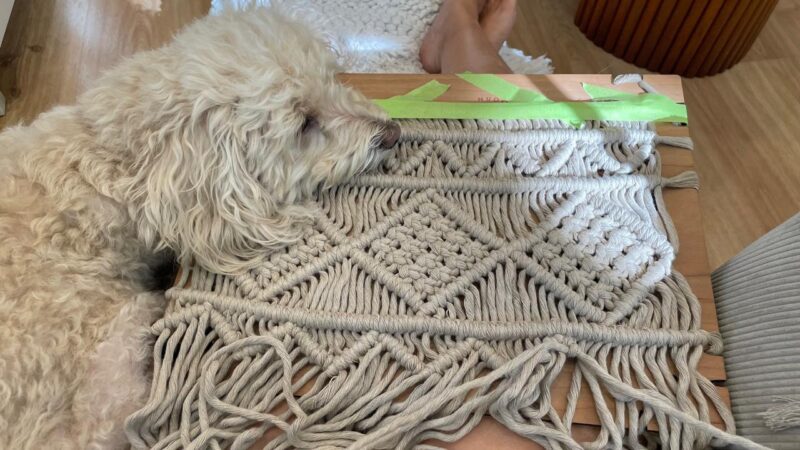 WhatsApp Image 2025 12 20 at 12.50.08 PM (1)