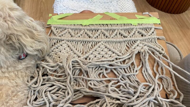 WhatsApp Image 2025 12 20 at 12.50.08 PM