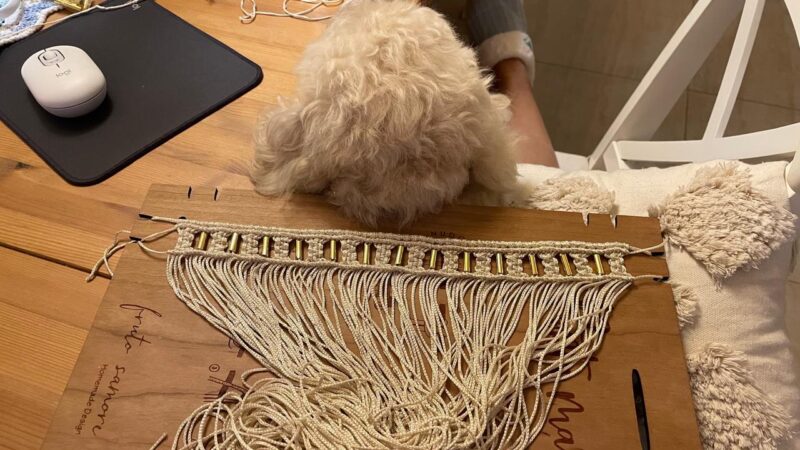 WhatsApp Image 2026 01 01 at 7.14.00 PM (1)