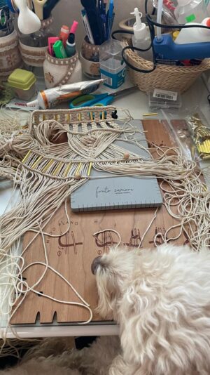 WhatsApp Image 2026 01 01 at 7.14.00 PM (2)