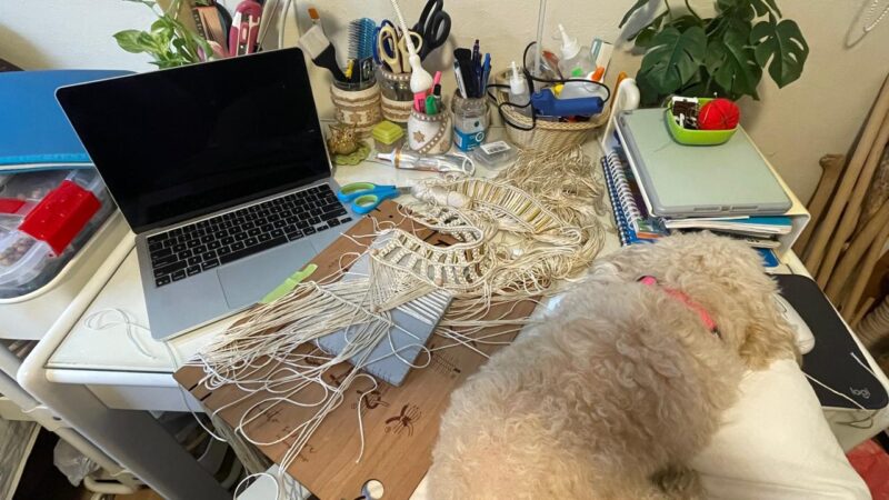 WhatsApp Image 2026 01 01 at 7.14.00 PM (5)