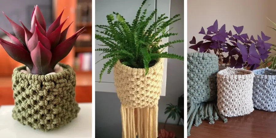 Proyectos del Curso Macrame Cesto Mariona alumnas