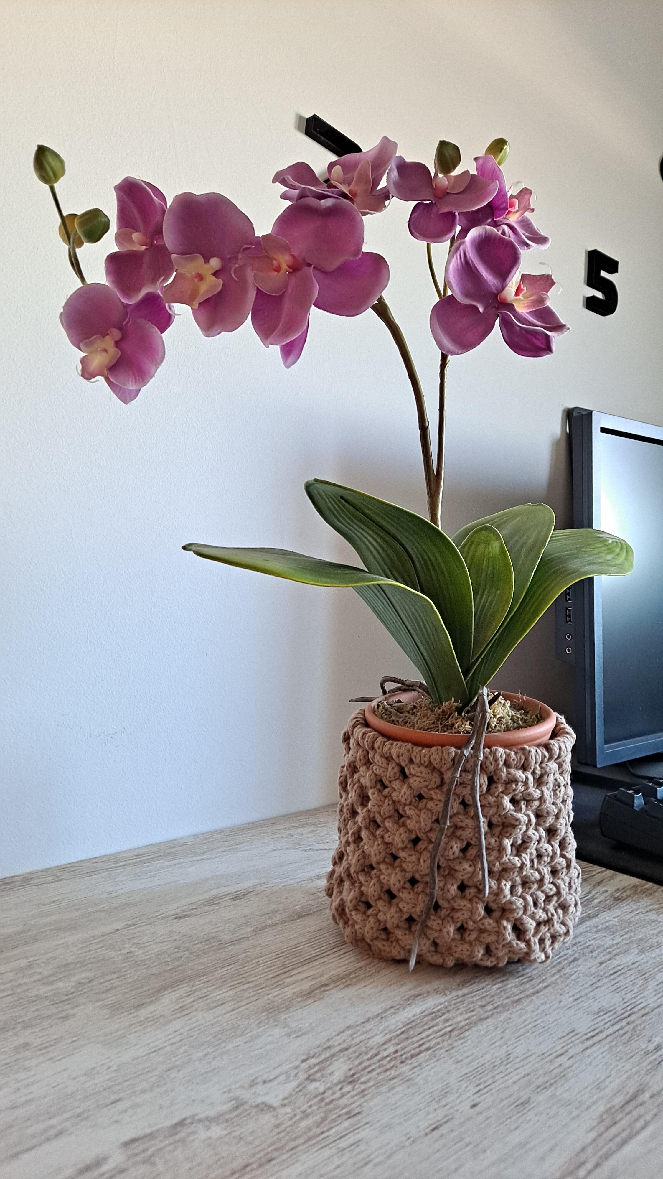 Maria Jose Arevalo sobrino · Mijas, Andalucía